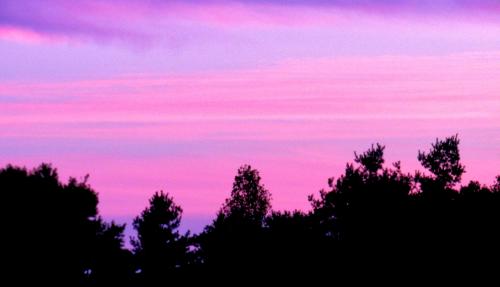 Pink sunset