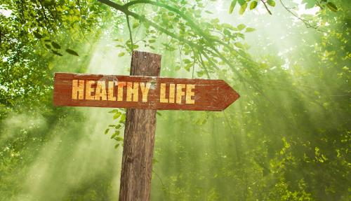 Wooden sign reading healthy life amongst greenery